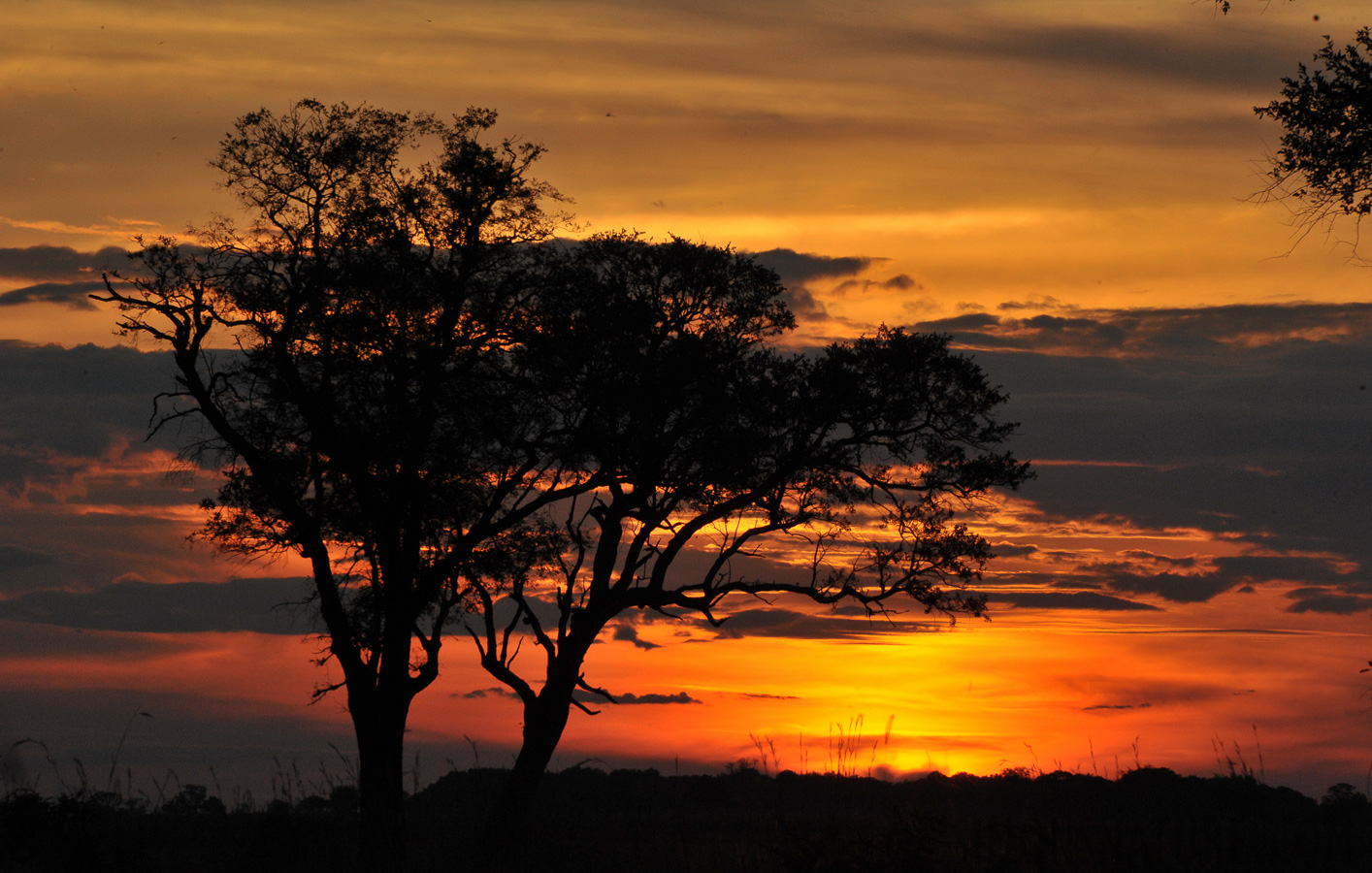 Okavango Delta [300 mm, 1/320 sec at f / 20, ISO 1600]